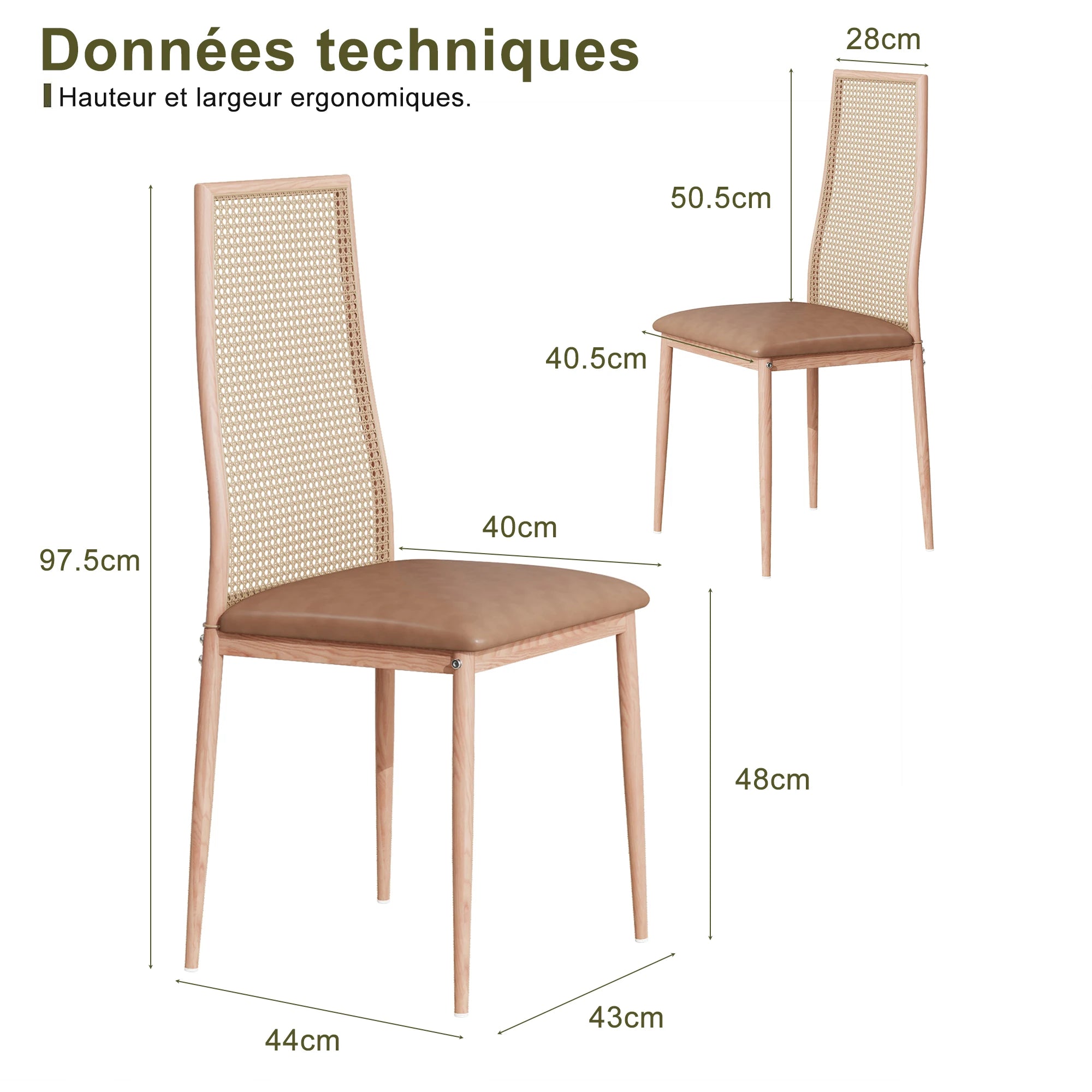 Retro Eetkamerstoelen Set van 2 met Rieten Rugleuning – Comfortabele Gestoffeerde Zitting, Stevig IJzeren Frame, Antislipvoetjes – Voor Keuken, Eetkamer & Terras