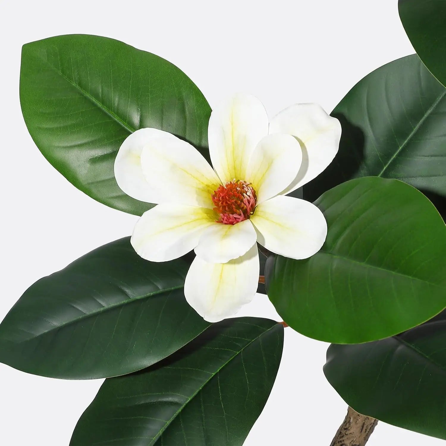 Kunstmatige Rubberboom met Magnoliabloemen – S-vormige Nepplant in Witte Pot voor Binnen, Realistische Kunstplant Groot Formaat