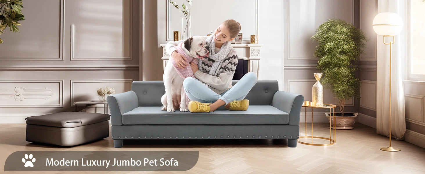 Verhoogd Hondenbed Groot & Middelgroot – Luxe Hondenbank met Orthopedisch Kussen