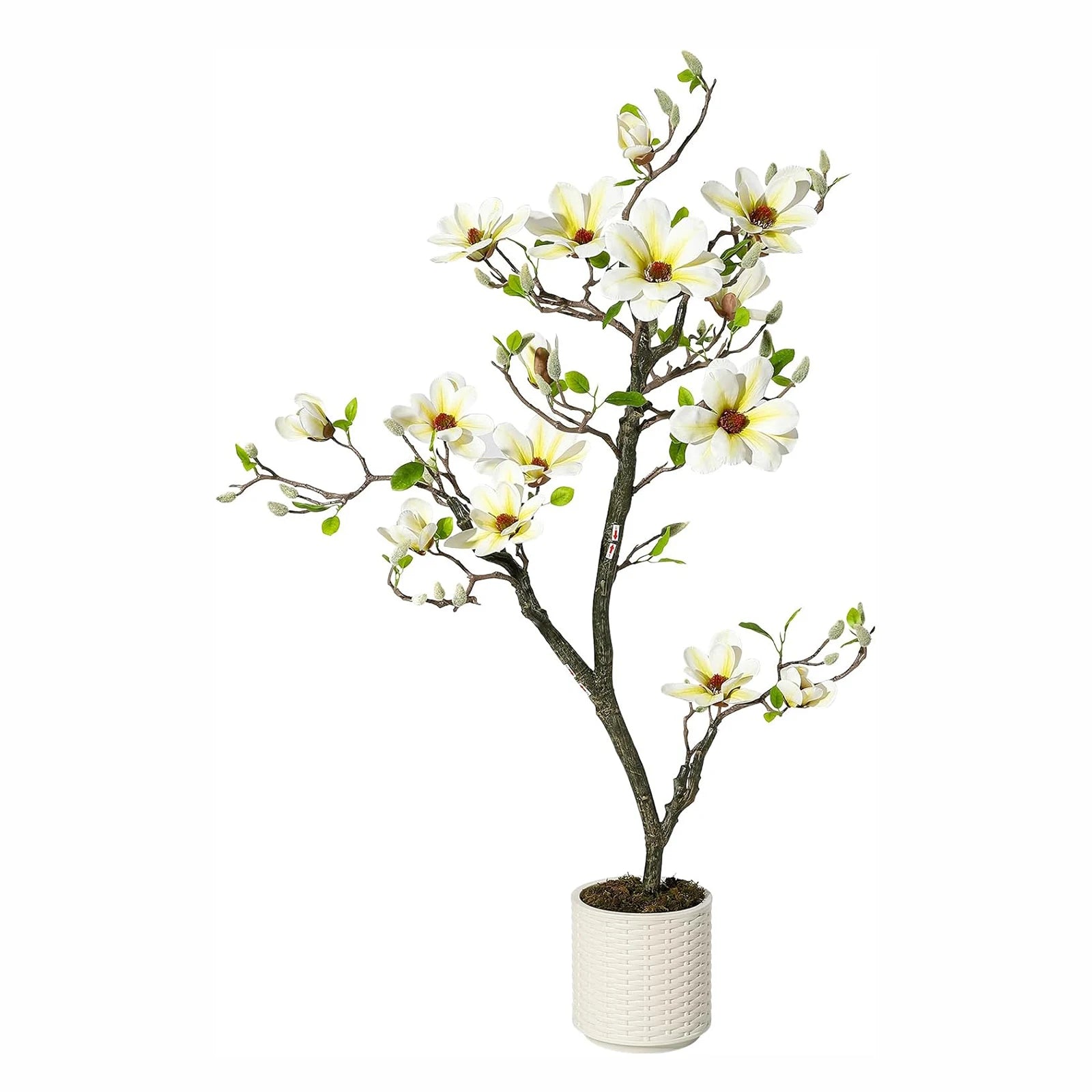 Kunstmatige Magnolia Plant 120–180 cm – Grote Nep Magnolia Boom voor Binnen & Buiten – Realistische Bloemen – Onderhoudsvrij – Luxe Woondecoratie
