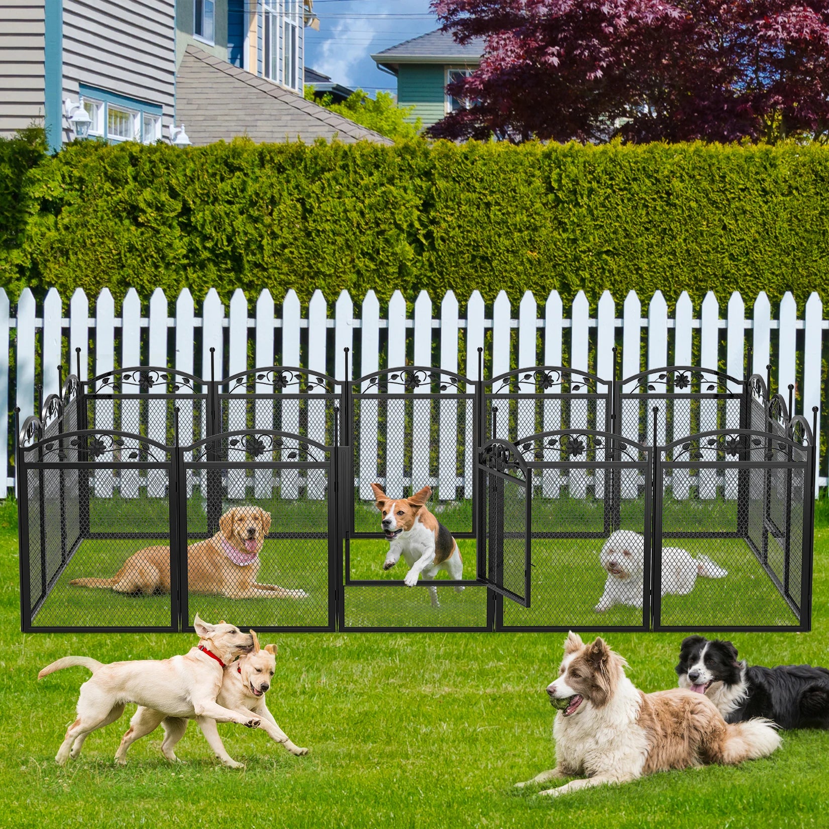 8-Delige Hondenren voor Puppy’s – Zware Metalen Puppyren met Deur & Waterdichte Mat – Opvouwbaar Hondenhek voor Binnen en Buiten