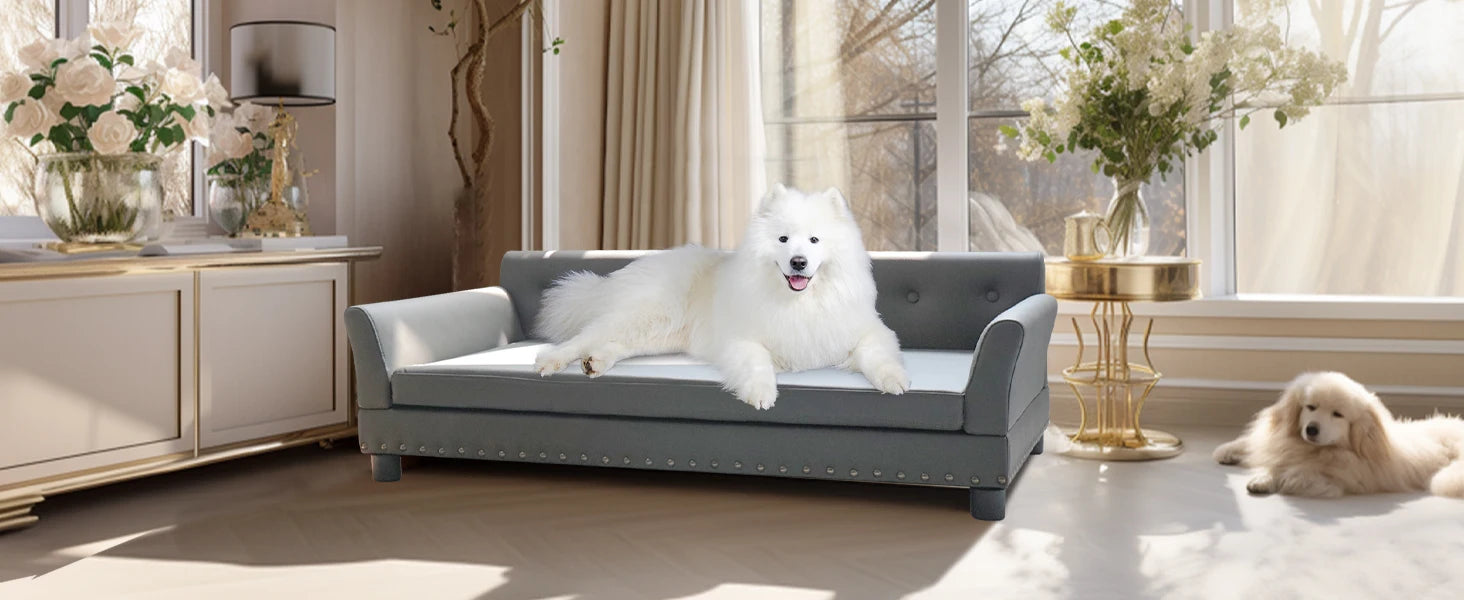Verhoogd Hondenbed Groot & Middelgroot – Luxe Hondenbank met Orthopedisch Kussen