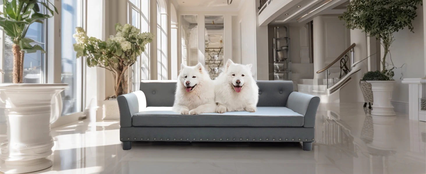 Verhoogd Hondenbed Groot & Middelgroot – Luxe Hondenbank met Orthopedisch Kussen
