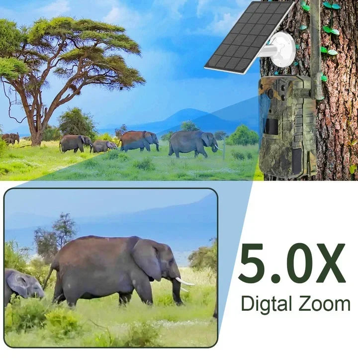 4G 4K Wild‑ en Jachtcamera met SIM‑verbinding, Zonne‑energie, Nachtzicht & Bewegingdetectie
