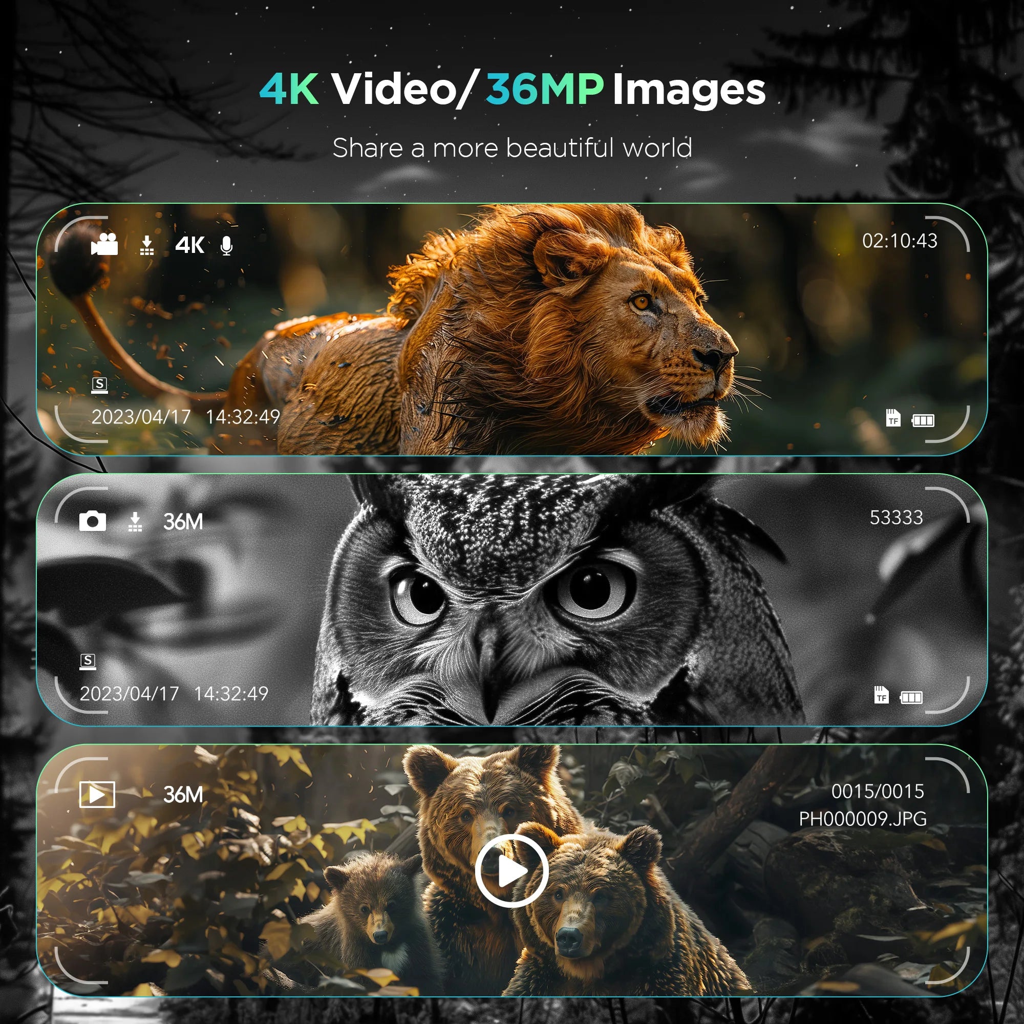 Nachtzicht Verrekijker 8x HD 1080P met IR – Digitale Zoom voor Jacht, Camping & Outdoor