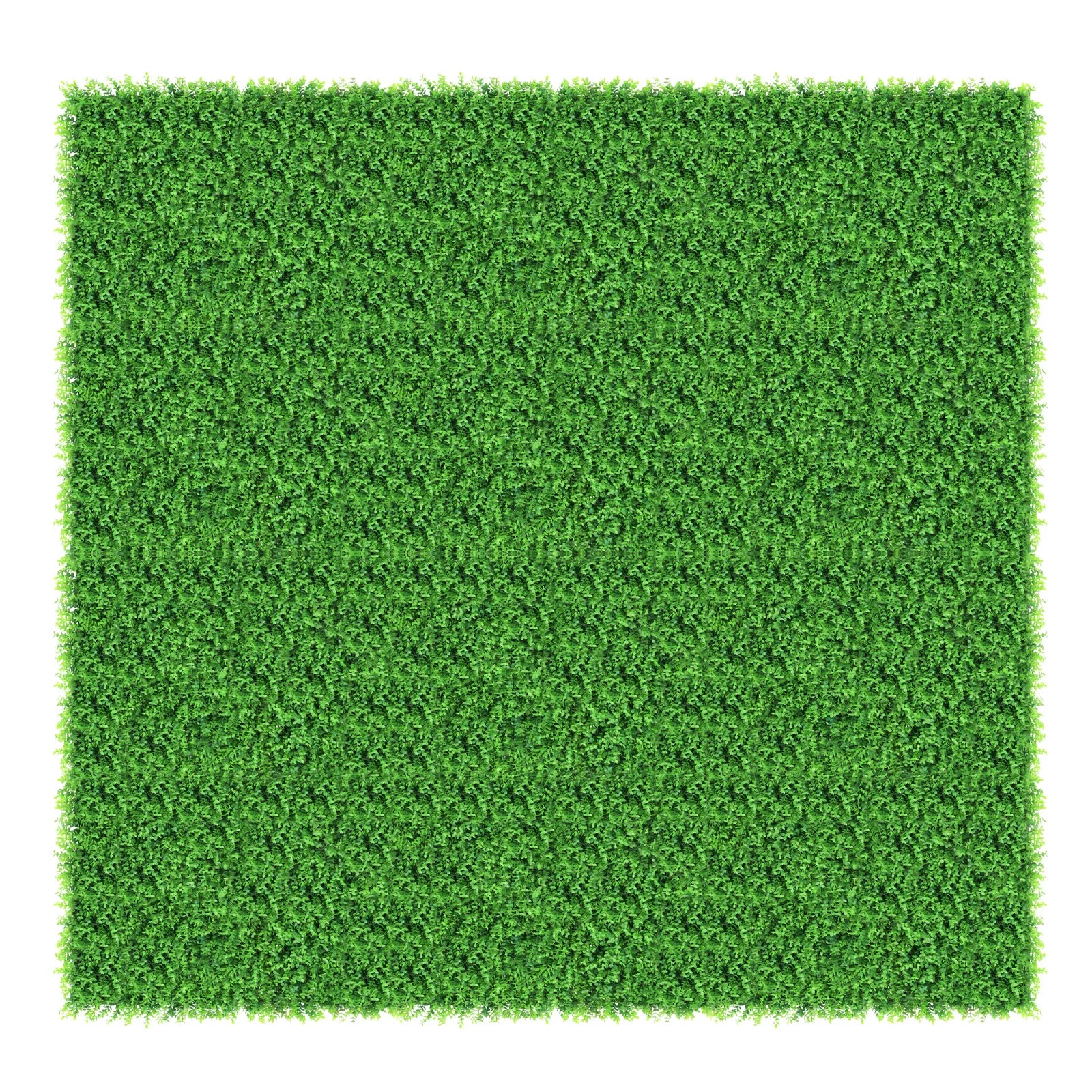 Kunstgras Wanddecoratie Set van 12 – Buxushagen Panelen 40x60 cm voor Groene Muur Binnen en Buiten