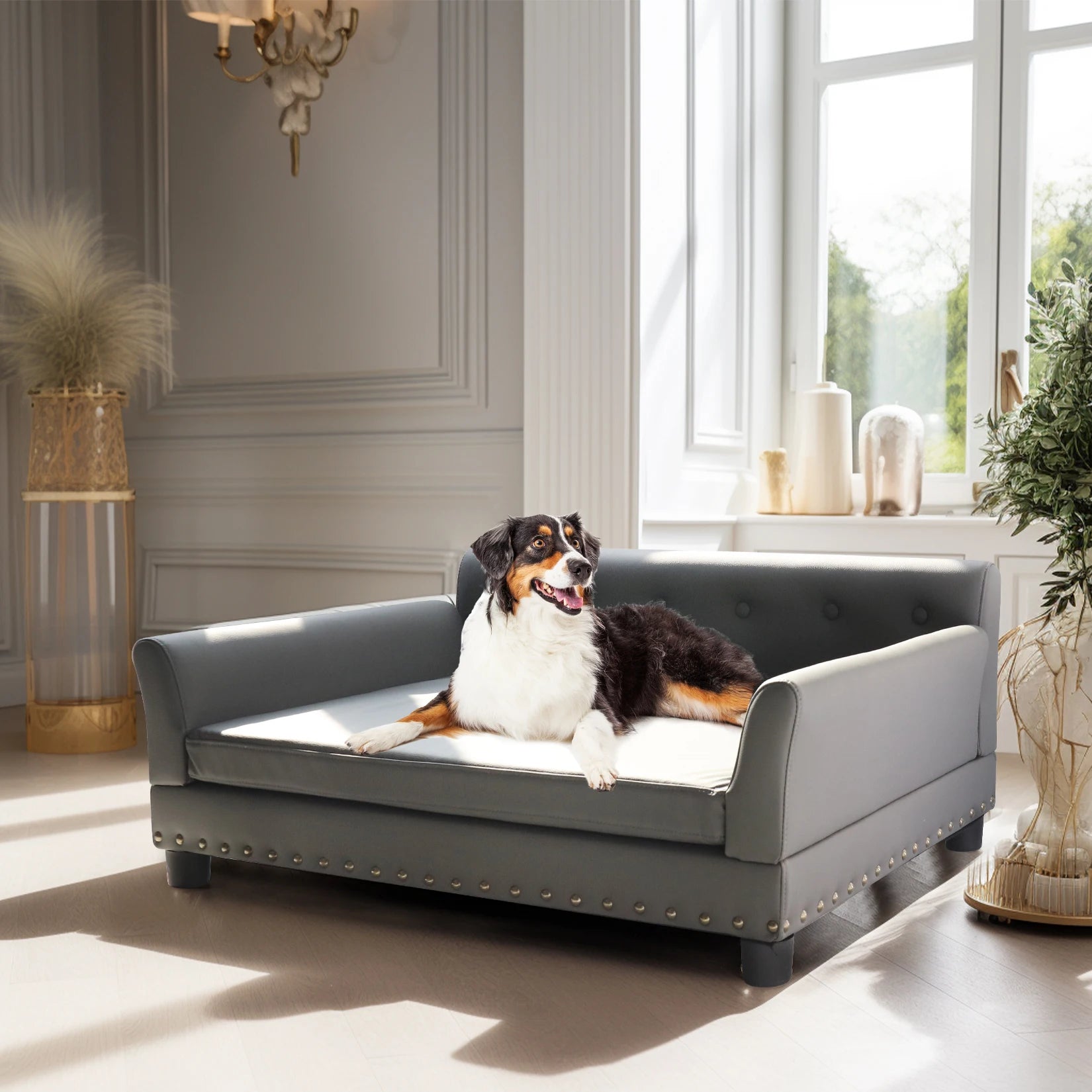 Verhoogd Hondenbed Groot & Middelgroot – Luxe Hondenbank met Orthopedisch Kussen