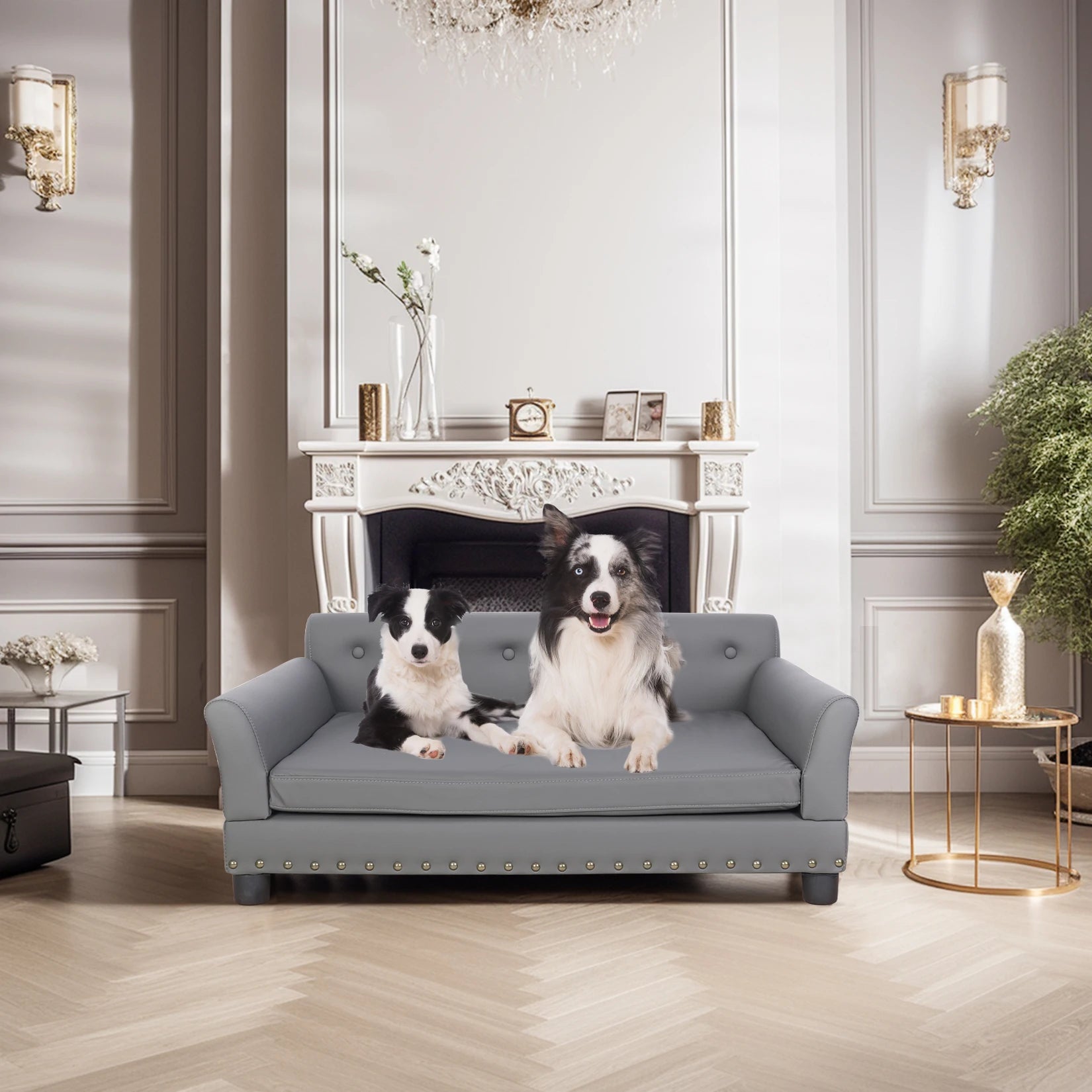 Verhoogd Hondenbed Groot & Middelgroot – Luxe Hondenbank met Orthopedisch Kussen