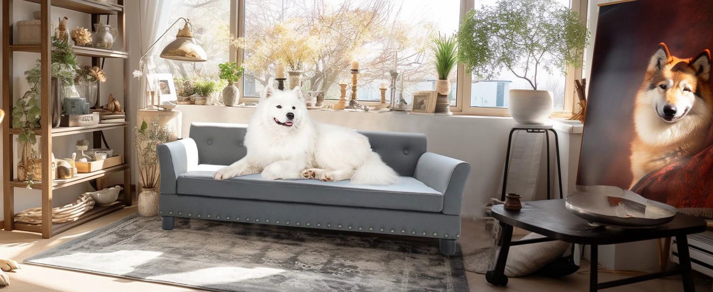 Verhoogd Hondenbed Groot & Middelgroot – Luxe Hondenbank met Orthopedisch Kussen